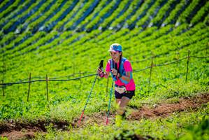 BIB: 
                            <button type="button" onclick="openModal(19161737)" class="btn btn-primary btn-sm float-right btn-popup" data-toggle="modal" data-target=".modal-high-quality">
                        <i class="fas fa-shopping-cart"></i> Add to Cart
                    </button>
                                            <button type="button" onclick="isThisMe(19161737, true)" class="btn btn-success btn-sm float-right btn-popup btn-isme hidden" data-toggle="tooltip" data-placement="bottom" title="นี่คือรูปของคุณใช่ไหม คลิกที่นี่เพื่อเอาเข้าอัลบั้ม">
                        <i class="fas fa-plus"></i> Add to album
                    </button>
                    <button type="button" onclick="isThisMe(19161737, false)" class="btn btn-warning btn-sm float-right btn-popup btn-isnotme hidden">
                        <i class="fas fa-ban"></i> Remove from album
                    </button>